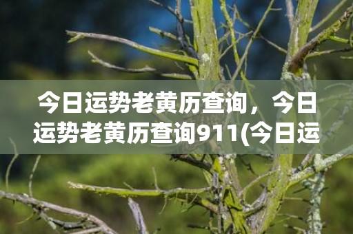 今日运势老黄历查询，今日运势老黄历查询911(今日运势老黄历查询)