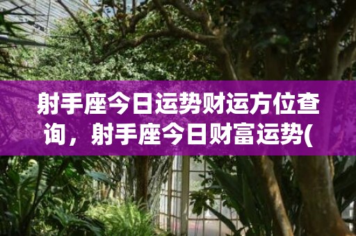 射手座今日运势财运方位查询，射手座今日财富运势(射手座今日运势财位)