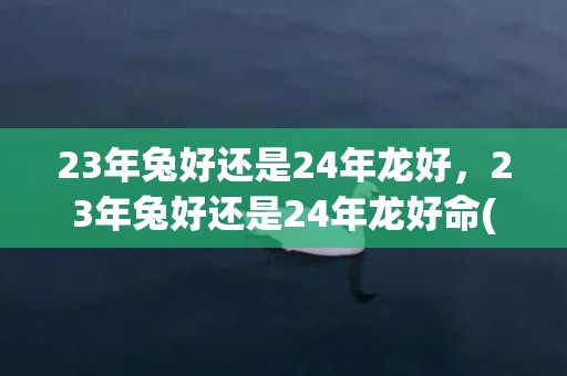 23年兔好还是24年龙好，23年兔好还是24年龙好命(23年兔好还是99年兔好)
