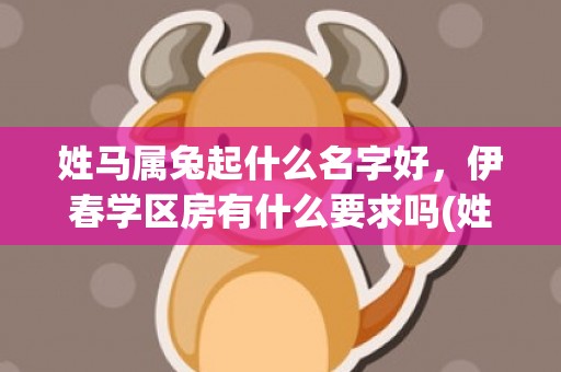 姓马属兔起什么名字好，伊春学区房有什么要求吗(姓马属兔起什么名字)