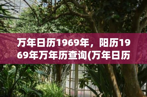万年日历1969年，阳历1969年万年历查询(万年日历1969年)