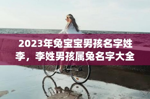 2023年兔宝宝男孩名字姓李，李姓男孩属兔名字大全(2023年兔宝宝取名字最佳字男孩)