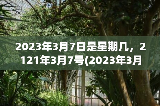 2023年3月7日是星期几，2121年3月7号(2023年3月7日黄道吉日查询)