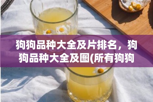 狗狗品种大全及片排名，狗狗品种大全及图(所有狗狗品种大全图片)