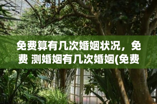 免费算有几次婚姻状况，免费 测婚姻有几次婚姻(免费八字算一生有几次婚姻)