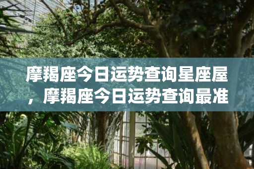 摩羯座今日运势查询星座屋，摩羯座今日运势查询最准(摩羯座今日运势查询星座屋)