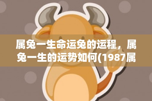 属兔一生命运兔的运程，属兔一生的运势如何(1987属兔男一生命运)