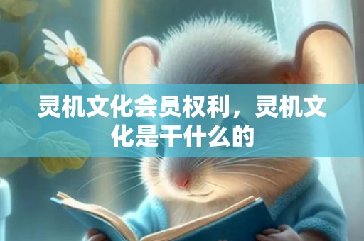 灵机文化会员权利，灵机文化是干什么的