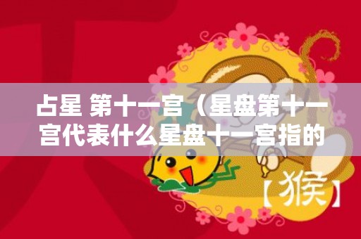 占星 第十一宫（星盘第十一宫代表什么星盘十一宫指的是什么）