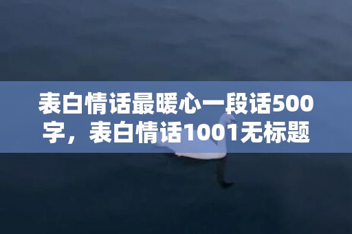 表白情话最暖心一段话500字，表白情话1001无标题什么意思