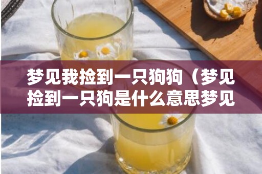 梦见我捡到一只狗狗（梦见捡到一只狗是什么意思梦见捡到了一只狗）