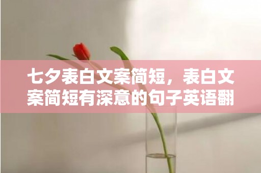 七夕表白文案简短，表白文案简短有深意的句子英语翻译怎么写