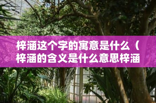 梓涵这个字的寓意是什么（梓涵的含义是什么意思梓涵什么意思呢）