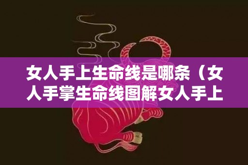 女人手上生命线是哪条（女人手掌生命线图解女人手上的生命线是哪一个）