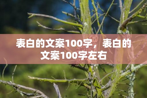 表白的文案100字，表白的文案100字左右