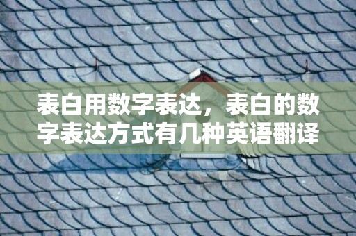 表白用数字表达，表白的数字表达方式有几种英语翻译怎么写