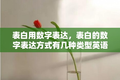 表白用数字表达，表白的数字表达方式有几种类型英语翻译