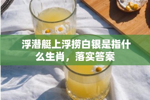  浮潜艇上浮捞白银是指什么生肖，落实答案