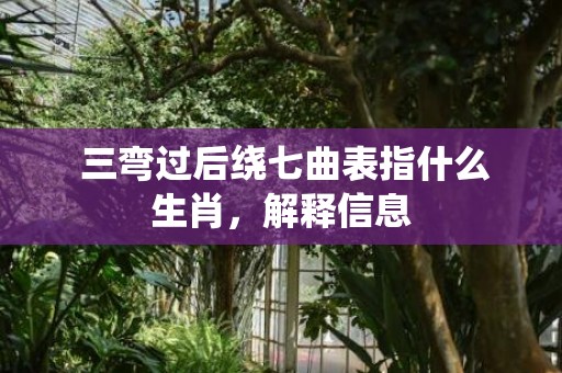  三弯过后绕七曲表指什么生肖，解释信息