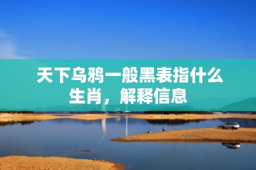  天下乌鸦一般黑表指什么生肖，解释信息