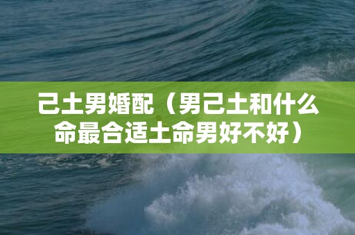己土男婚配（男己土和什么命最合适土命男好不好）