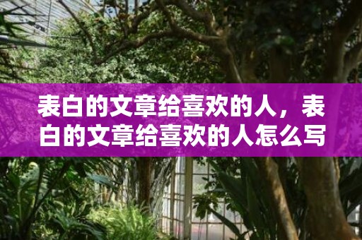 表白的文章给喜欢的人，表白的文章给喜欢的人怎么写信息内容