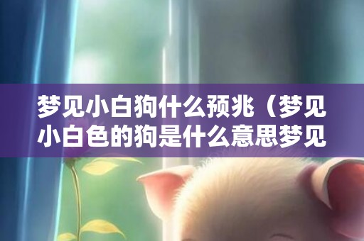 梦见小白狗什么预兆（梦见小白色的狗是什么意思梦见小白狗代表什么）