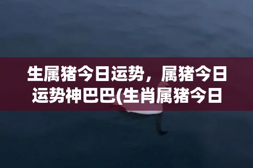 生属猪今日运势，属猪今日运势神巴巴(生肖属猪今日运势查询)