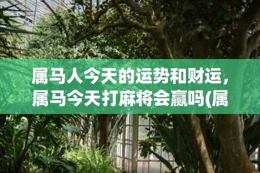 属马人今天的运势和财运，属马今天打麻将会赢吗(属马人今天的运势及运程怎么样)