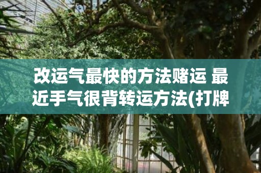 改运气最快的方法赌运 最近手气很背转运方法(打牌改运气最快的方法)