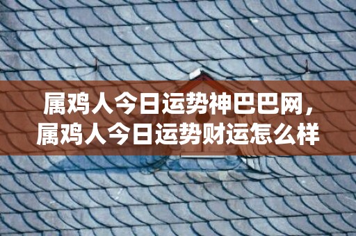 属鸡人今日运势神巴巴网，属鸡人今日运势财运怎么样(属鸡人今日运势神巴巴网36O)