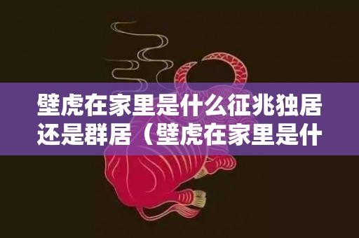 壁虎在家里是什么征兆独居还是群居（壁虎在家里是什么征兆断尾壁虎在家里是什么征兆）