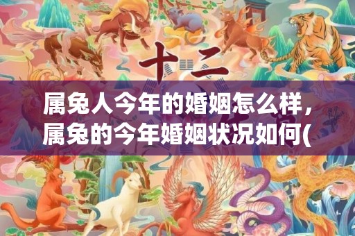 属兔人今年的婚姻怎么样，属兔的今年婚姻状况如何(属兔人今年婚姻如何L)