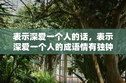 表示深爱一个人的话，表示深爱一个人的成语情有独钟的句子