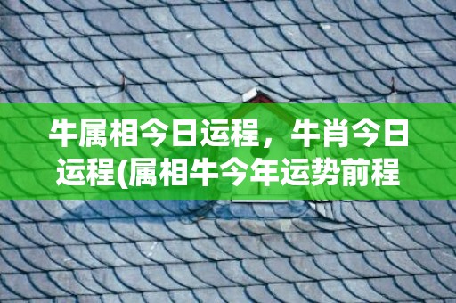 牛属相今日运程，牛肖今日运程(属相牛今年运势前程如何)