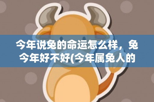今年说兔的命运怎么样，兔今年好不好(今年属兔人的命运)