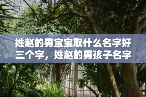 姓赵的男宝宝取什么名字好三个字，姓赵的男孩子名字要有顾子