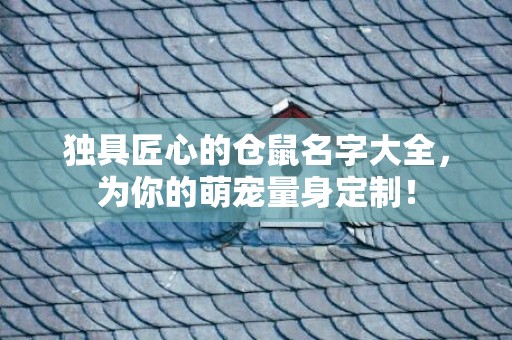 独具匠心的仓鼠名字大全，为你的萌宠量身定制！