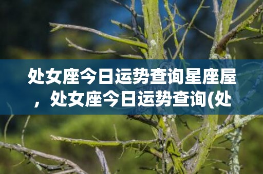 处女座今日运势查询星座屋，处女座今日运势查询(处女座今日运势查询)