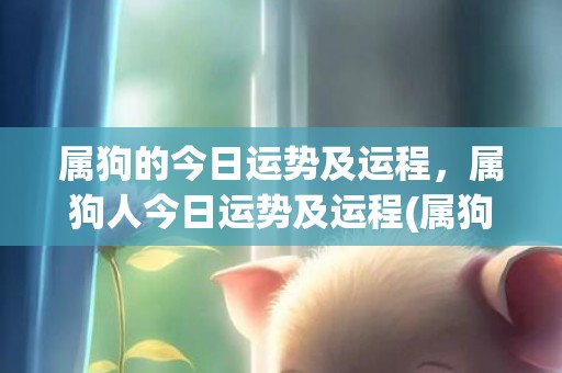 属狗的今日运势及运程，属狗人今日运势及运程(属狗今日运势及财运)