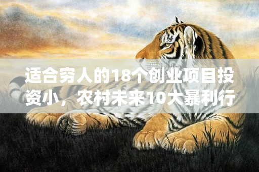 适合穷人的18个创业项目投资小，农村未来10大暴利行业(适合穷人的18个创业项目投资小去哪铺)