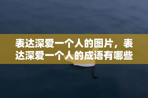 表达深爱一个人的图片，表达深爱一个人的成语有哪些呢四个字