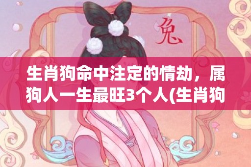 生肖狗命中注定的情劫，属狗人一生最旺3个人(生肖狗命中注定的情人)