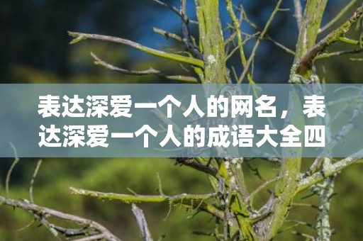 表达深爱一个人的网名，表达深爱一个人的成语大全四个字开头