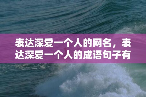 表达深爱一个人的网名，表达深爱一个人的成语句子有哪些短句