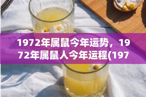1972年属鼠今年运势，1972年属鼠人今年运程(1972年属鼠今日运势)