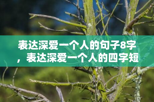 表达深爱一个人的句子8字，表达深爱一个人的四字短语有哪些词语