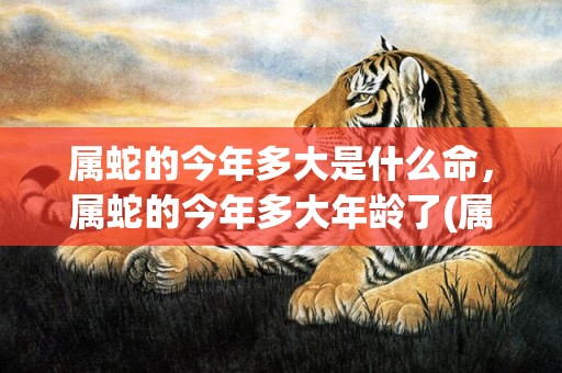 属蛇的今年多大是什么命，属蛇的今年多大年龄了(属蛇的今年多大是哪一年出生的)