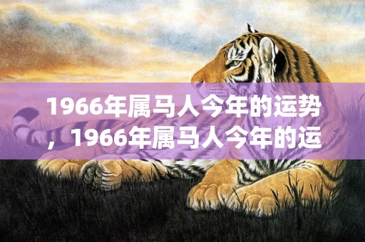 1966年属马人今年的运势，1966年属马人今年的运势及运程(1966年属马人的运势)