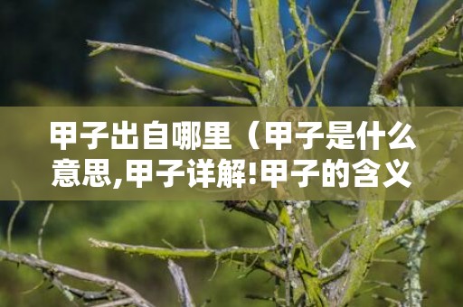 甲子出自哪里（甲子是什么意思,甲子详解!甲子的含义）